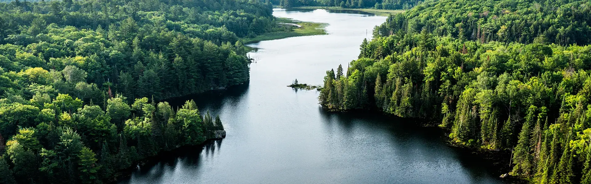 ESG永續管理 ESG永續管理