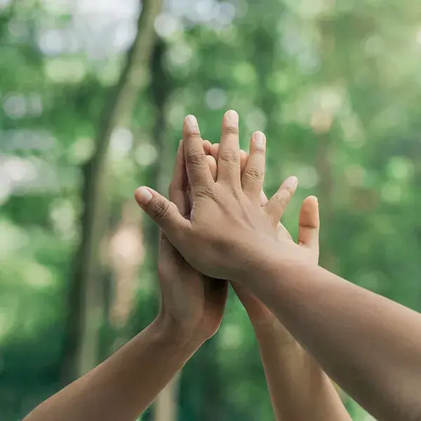 環境保護 環境保護